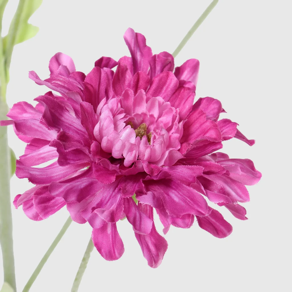 79cm Artificial China Aster Stem factory 191A4900